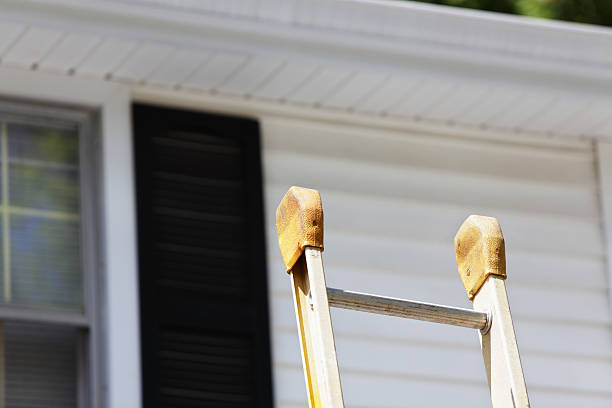 Best Siding Removal and Disposal  in Brownfield, TX